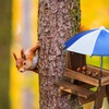 Relaxdays Squirrel Table Wooden Squirrel Bench with 2 Umbrellas Squirrel