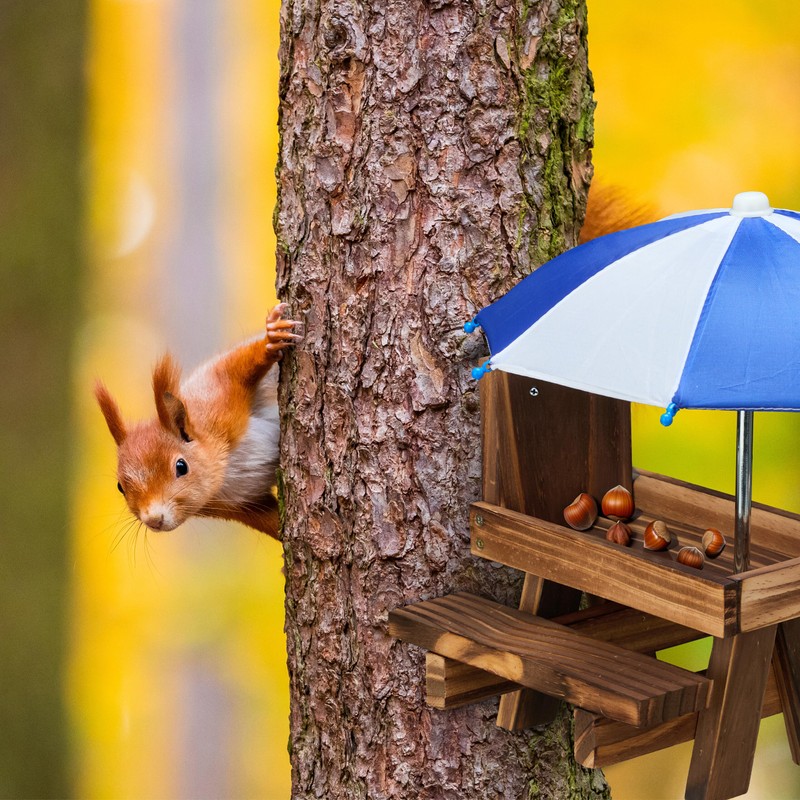 Relaxdays Squirrel Table Wooden Squirrel Bench with 2 Umbrellas Squirrel
