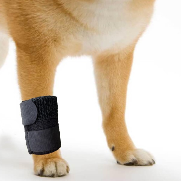 GenetGo Dog Canine Front Leg Brace Paw Compression Sleeve Joint