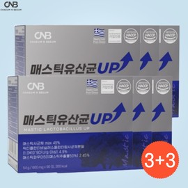 Mastic Lactobacillus Stomach Health Intestinal Health Mastic Lactobacillus Dead Cells 90 Tablets, 6 Pieces / 매스틱 유산균 위건강 장건강 메스틱유산균 사균체 90정, 6개