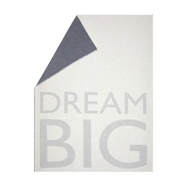David Fussenegger Dream Big Light Cuddly Blanket 140 x 200 cm Soft Flannel Blanket Made from Recycled Cotton Sustainably Produced ÖkoTex100 GRS Made in Austria Colour Raw White