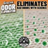 Chemical Guys SPI2321603 Ghosted Complete Interior Vehicle Odor Eliminator, Great