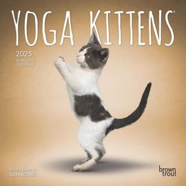 BrownTrout, Yoga Kittens 2025 Mini Wall Calendar