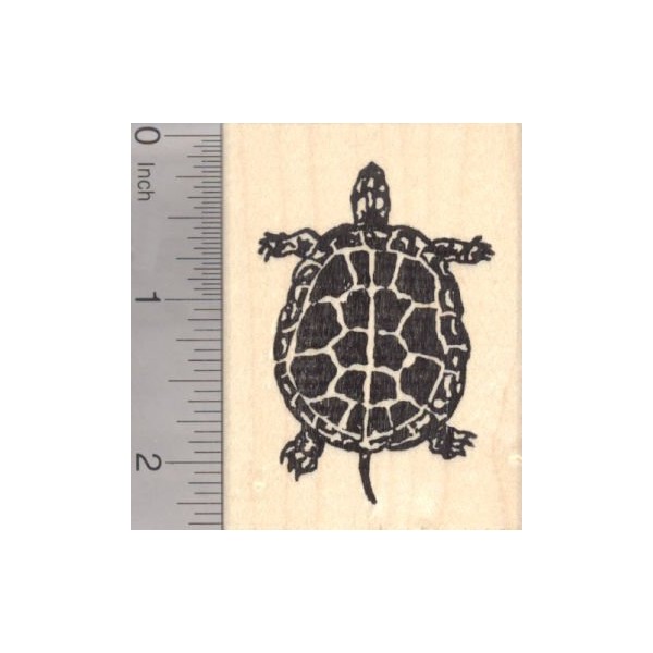 Turtle Rubber Stamp