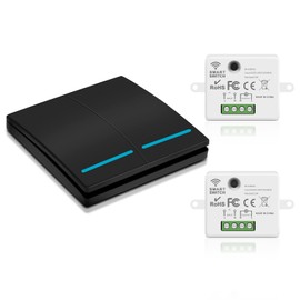 RGBZONE Wireless Remote Light Switch and Receiver Kit, No Wiring, 100ft RF Range, Pre-Programmed, Expandable Wireless On/Off Switches for Ceiling Lights, Lamps (Black)