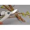 Forever Titanium King Pruning Scissors [Rust Not, Light, maintenance-free] TG