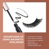 Magnetic Eyelashes Set with Eyeliner - Fox Style 7 Pairs