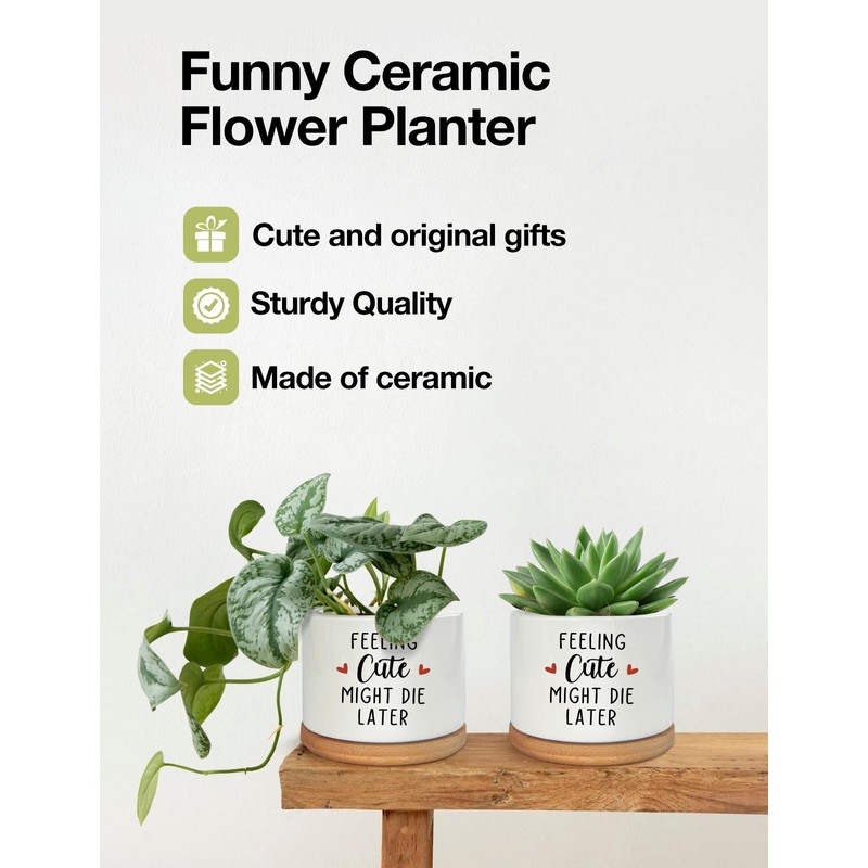 PWHINGN Feeling Cute Might Die Later Pot- Ceramic Engraved Succulent