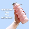 Vnek Collapsible Water Bottles (Pink)