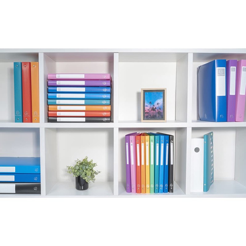 Exacompta 512803E OPAK Ring Binder DIN A4 Medium Strength Plastic