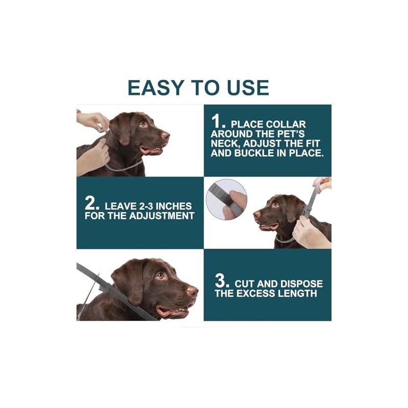 2Pcs Collar para Perro,Collar Impermeable, Cuello Ajustable,para Perro Chico,para medianos,