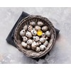 NWQUAILFARM Fresh & Tasty Organic Non-GMO Jumbo Quail Eggs (Two