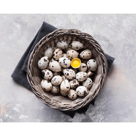 NWQUAILFARM Fresh & Tasty Organic Non-GMO Jumbo Quail Eggs (Two Dozen, 24)