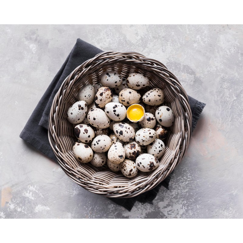 NWQUAILFARM Fresh & Tasty Organic Non-GMO Jumbo Quail Eggs (Two