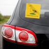 Throw Bread On Me Sticker Vinyl Bumper Laptop Window Decal