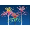 Garcia de Pou Wooden Ice Cream Decorations Palm Trees in
