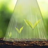 Relaxdays Set of 48 Plant Cloches, Green