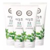 Happy Bath 해피바스 어성초 모공 클렌징폼 200ml X 4개 Happy Bath Achyranthes Root Pore Cleansing Foam 200ml x 4