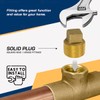 Supply Giant CSTQ0012 1/2-Inch Male National Pipe Taper Threads Brass