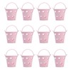 12pcs Mini Metal Bucket Hollow Heart Shaped Bucket with Handle