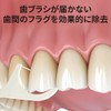 MSDENTAL Disposable Floss, Pack of 300