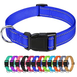 TagME Reflective Nylon Dog Collars, Adjustable Classic Dog Collar with Quick Release Buckle for Small Dogs, Royal Blue, 5/8" Width