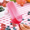 Rosenstein & Söhne Ice Cream Moulds: Mould for 8 Homemade