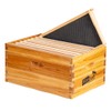 8-Frame Beehive Box Langstroth Deep Brood Box Dipped in 100%