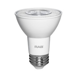 RAB Lighting PAR20-7-940-40D-DIM Outdoor, Image