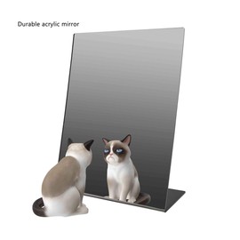 Marketing Holders Freestanding Acrylic Mirror 9" x 12" Slant Back Reflective Portable Lightweight Plexiglass Stand for Dressing Rooms Makeup Vanities and Retail Jewelry Piercing Counters