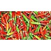 Bird's Eye Chili Pepper 25+ Seeds (Very Hot) Siling Labuyo