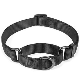 Cyclpet Nylon Adjustable Martingale Dog Collars,Comfort and Silky Training Dog Collar with Heavy Duty Clip for Active Dogs. (Black, Small)