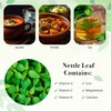 Nettle Leaves Dried 4 oz | Nettle Leaf Tea |