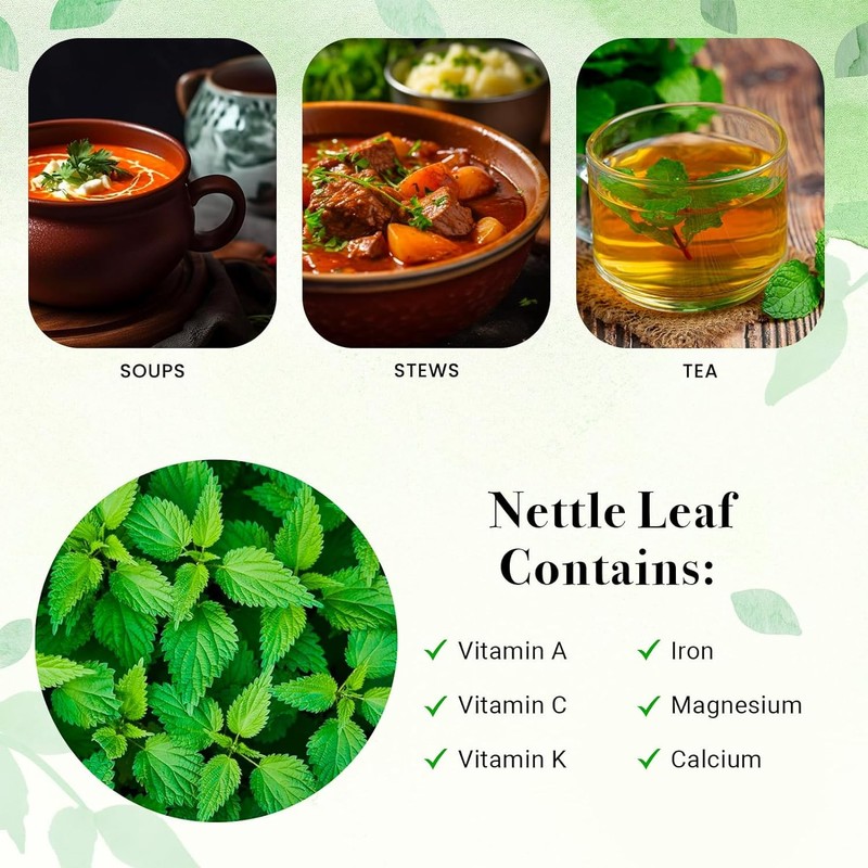 Nettle Leaves Dried 4 oz | Nettle Leaf Tea |