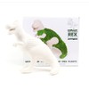 GR Gift Republic T-Rex Dino Flower Pot with Chia Seeds