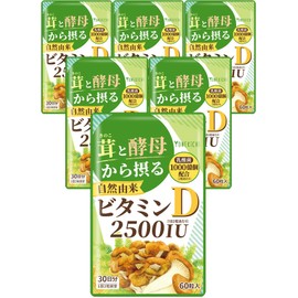 【自然由来 ビタミンD サプリメント】2500IU キノコと酵母から摂るビタミンD（舞茸 エリンギ 酵母） 乳酸菌 1000億個配合 国内製造 60粒 6袋セット