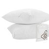 Bioweaves 100% Organic Cotton Breathable Pillow Protectors GOTS Certified with