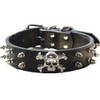Haoyueer Spiked Studded 1.2" Wide Leather Dog Collar Chain Leash