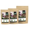 Mariendistelsamen ganz (100g), 100% natürlich und rein, schonend getrocknet, vegan