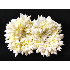 Pretty Charming Hair Gajra Band - Juego de 10 bandas multiusos, de plástico suave artificial con regalo