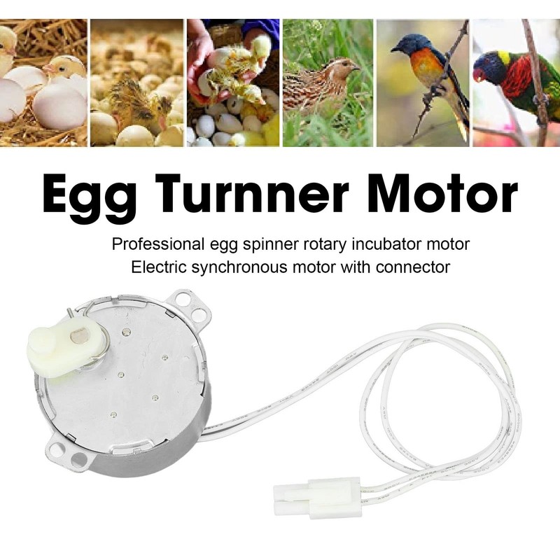 Egg Tray Turning Motor, Electric Synchron Motor Replacement Egg Turner