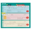 Maruman L1244-99 Loose Leaf B5 Smart Review Memorizing Rule, 0.3