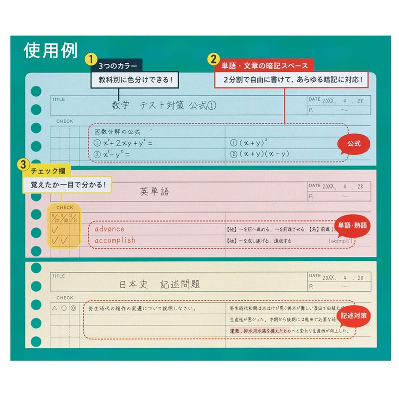 Maruman L1244-99 Loose Leaf B5 Smart Review Memorizing Rule, 0.3