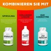 BioTechUSA Daily Pack Multivitamin - 37 Wirkstoffe, Omega-3, Pflanzenextrakte und