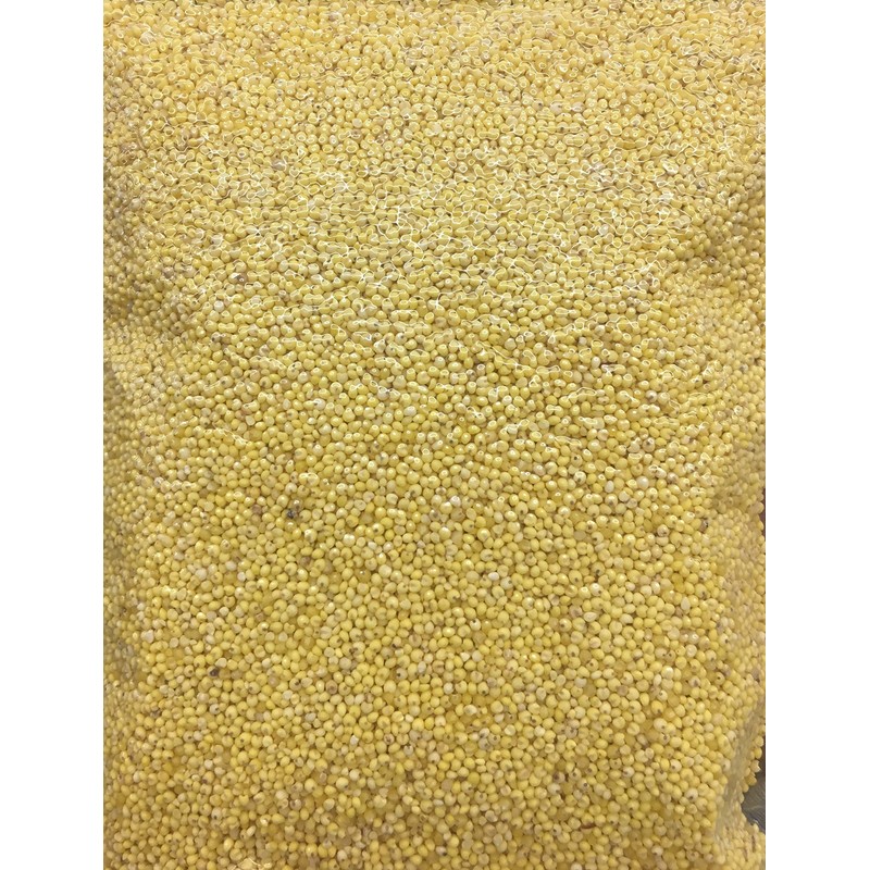 16oz Big Green Organic Glutinous Millet, Pack of 1