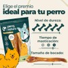 Premios - Tendones de Res Libre Pastoreo - Masticable 100%