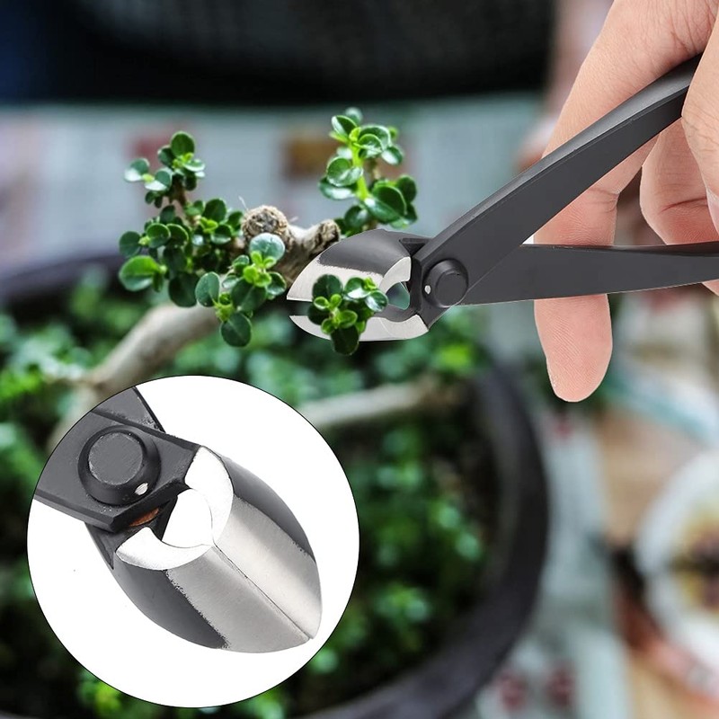 Zopsc-1 Branch Cutter, 6.4in Bonsai Tools Concave & Straight Cutter