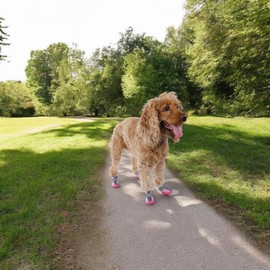 Handmade Dog Shoes, Reflective Dog Shoes, Pet Shoes for Pretty Friends, Anti-Slip Rubber Sole Dog Shoes, Dog Shoes with Zipper (Pink, 1)