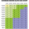 Hayabusa T3 Kanpeki Boxing Gloves for Men and Women -