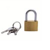 Padlocks with Keys 20mm Mini Padlock for Locker Suitcase Luggage
